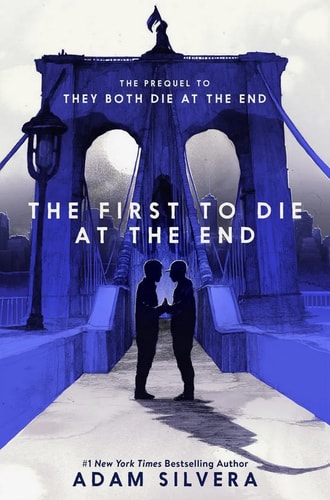 Untitled: Adam Silvera