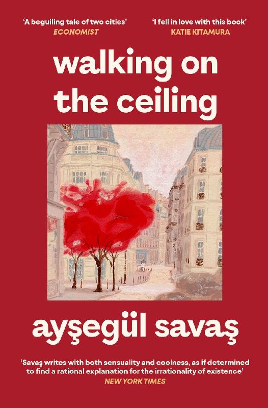 Walking on the Ceiling