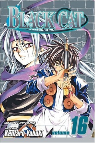 Black Cat, Vol. 16