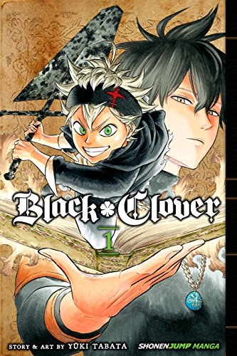 Black Clover, Vol. 1: The Boy's Vow