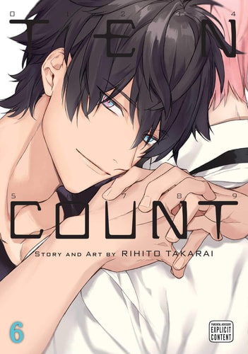 Ten Count, Vol. 6 (6)