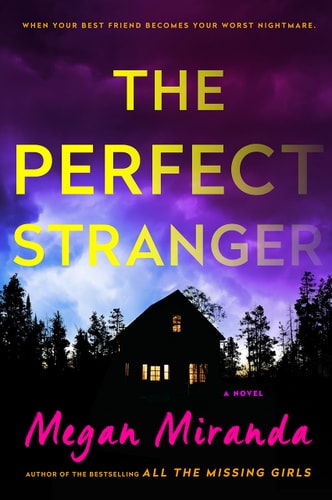 The Perfect Stranger (Wheeler Publishing large pring)