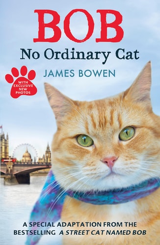 Bob No Ordinary Cat