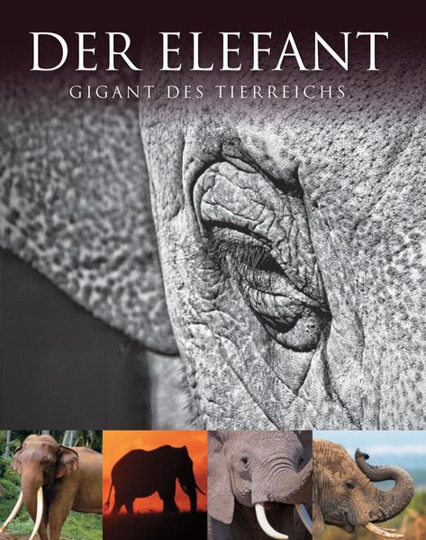 Abenteuer Wildnis: Elefant