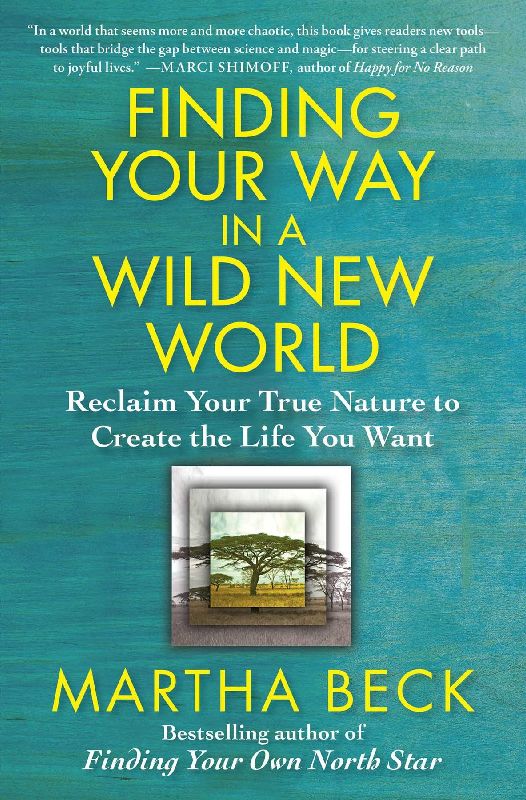 Finding Your Way in a Wild New World