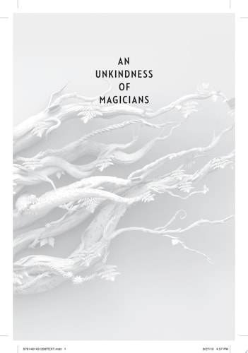 An Unkindness of Magicians (Unseen World, The Book 1)