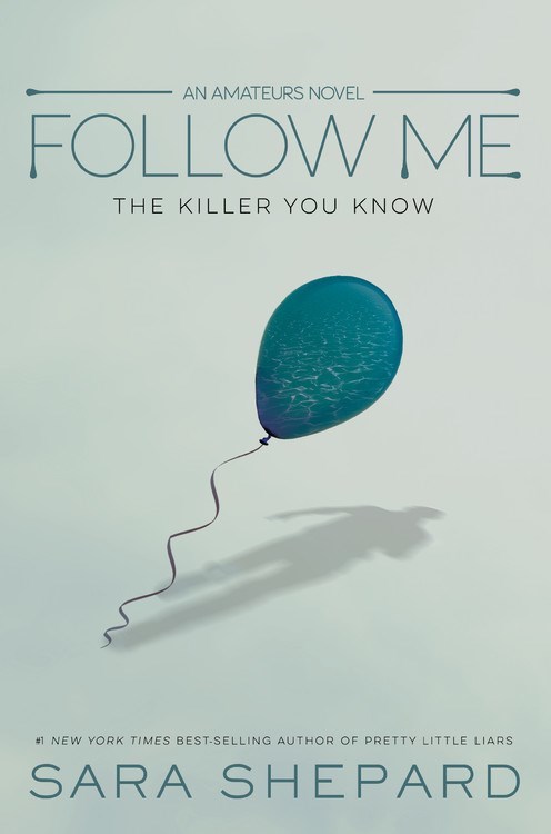 Follow Me: The Killer You Know (The Amateurs, Band 2)