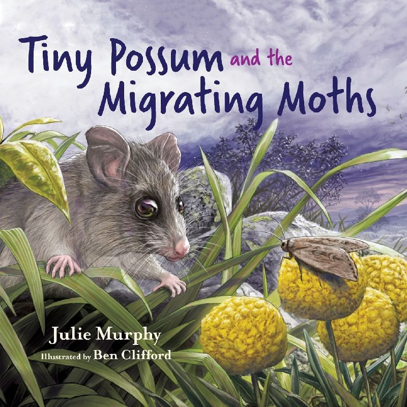 Tiny Possum and the Migrating Moths
