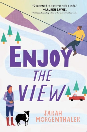 Enjoy the View: An Alaskan Grumpy/Sunshine Romcom (Moose Springs, Alaska Book 3)