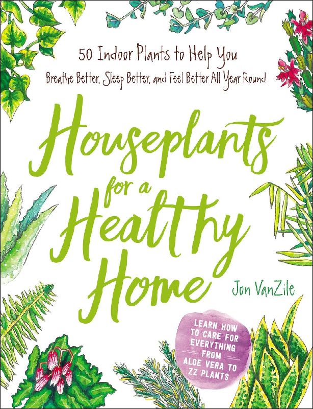 Houseplants for a Healthy Home