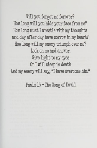 The Song of David (The Law of Moses, Band 2)