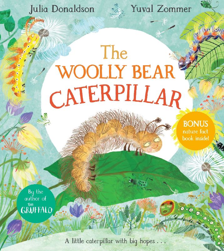 The Woolly Bear Caterpillar