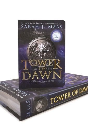 Tower of Dawn (Miniature Character Collection) (Throne of Glass Mini Character Collection)