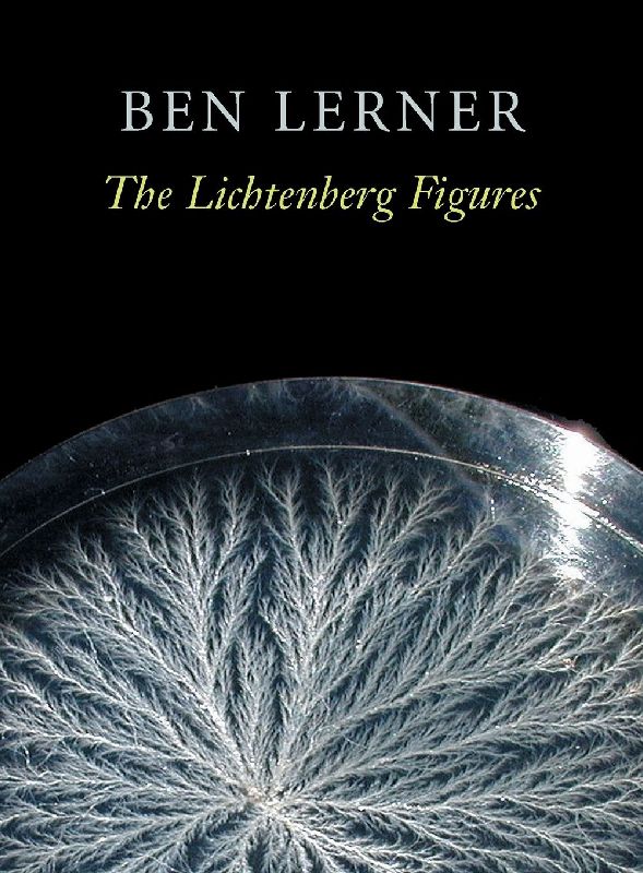 The Lichtenberg Figures