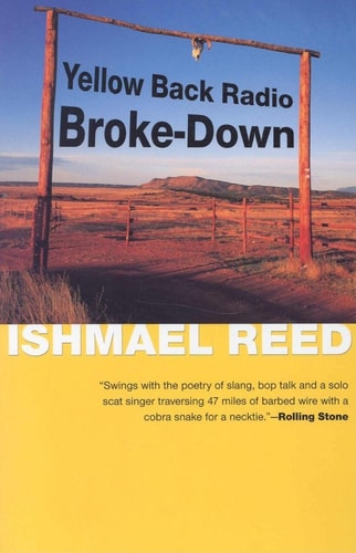 Yellow Back Radio Broke-Down (American Literature (Dalkey Archive))