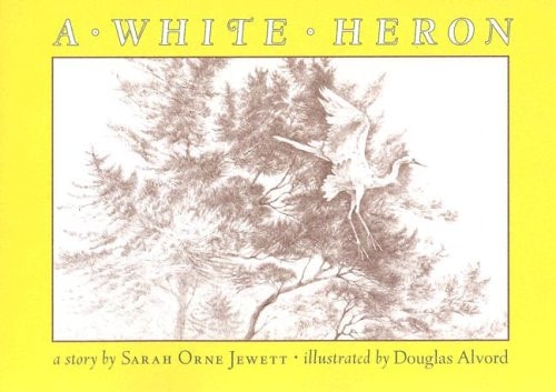 A White Heron