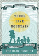 3 CAVE MOUNTAIN