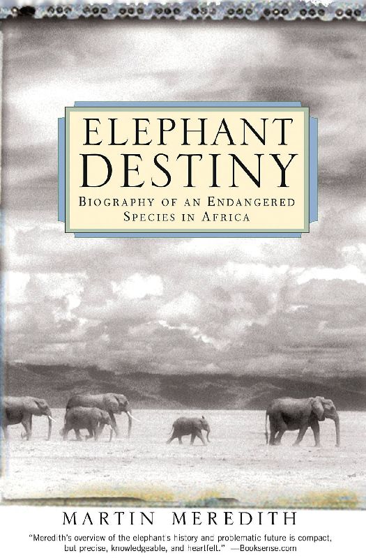 Elephant Destiny