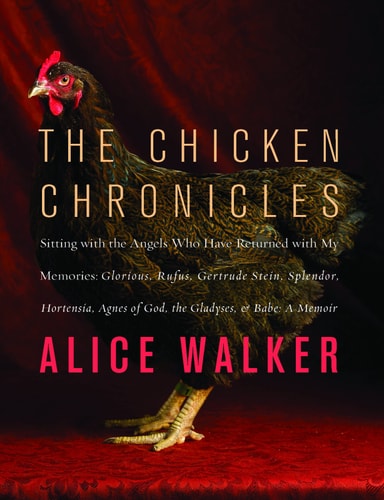 The Chicken Chronicles: Sitting with the Angels Who Have Returned with My Memories: Glorious, Rufus, Gertrude Stein, Splendor, Hortensia, Agnes of God, the Gladyses, & Babe: A Memoir