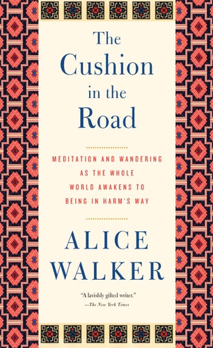 The Cushion in the Road: Meditation and Wandering as the Whole World Awakens to Being in Harms Way