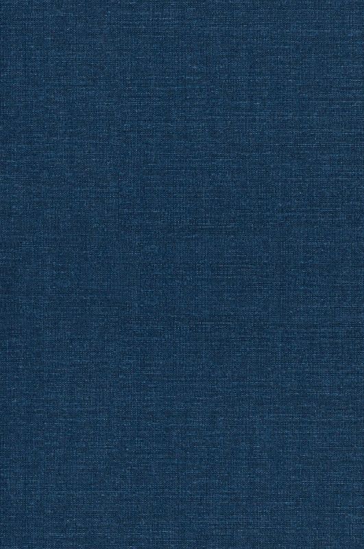 Tender Buttons by Gertrude Stein, Fiction, Literary, LGBT, Gay