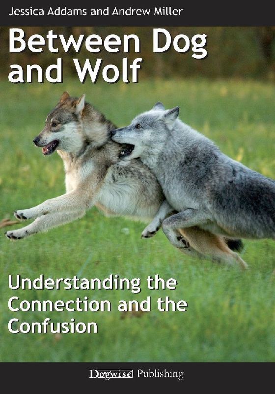 Between Dog and Wolf