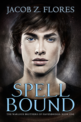Spell Bound (The Warlock Brothers of Havenbridge Book 1)