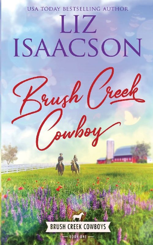 Brush Creek Cowboy