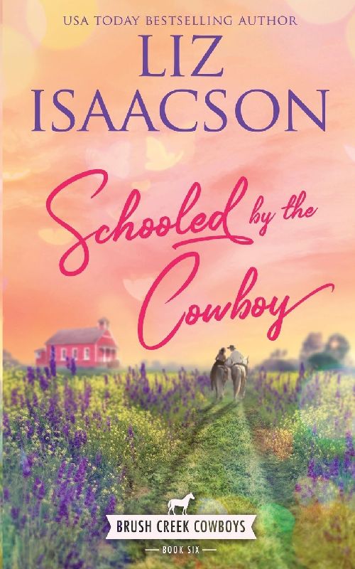 Schooled by the Cowboy