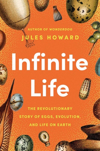 Infinite Life