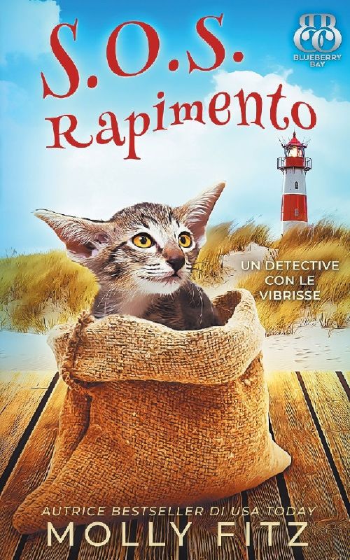 S.O.S. Rapimento