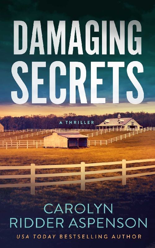 Damaging Secrets