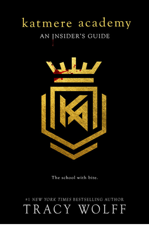 Katmere Academy: An Insider’s Guide