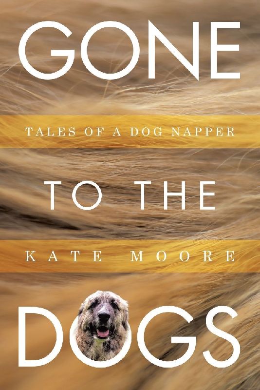 Gone To The Dogs