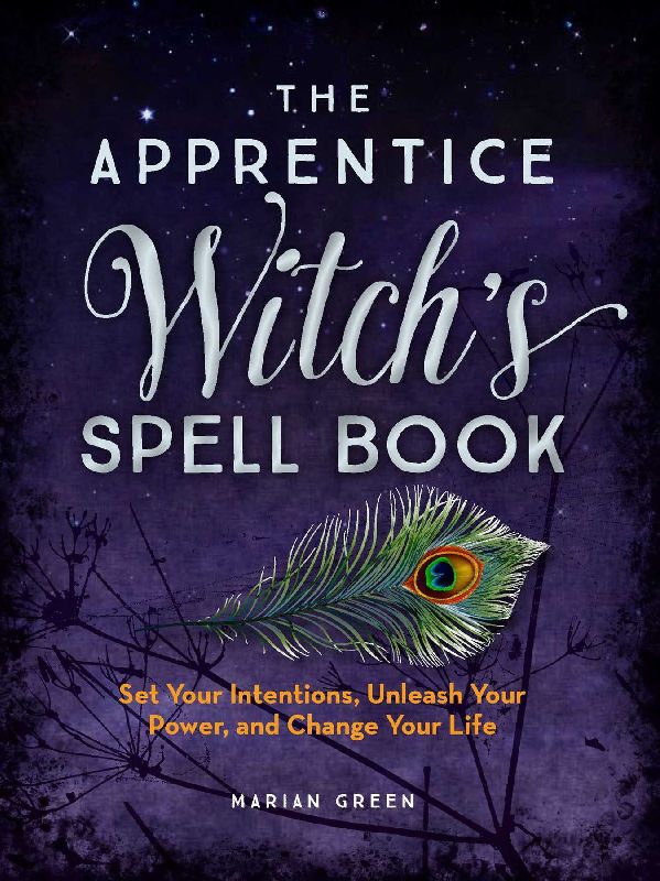 The Apprentice Witch's Spell Book