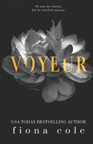 Voyeur (Voyeur Series, Band 1)