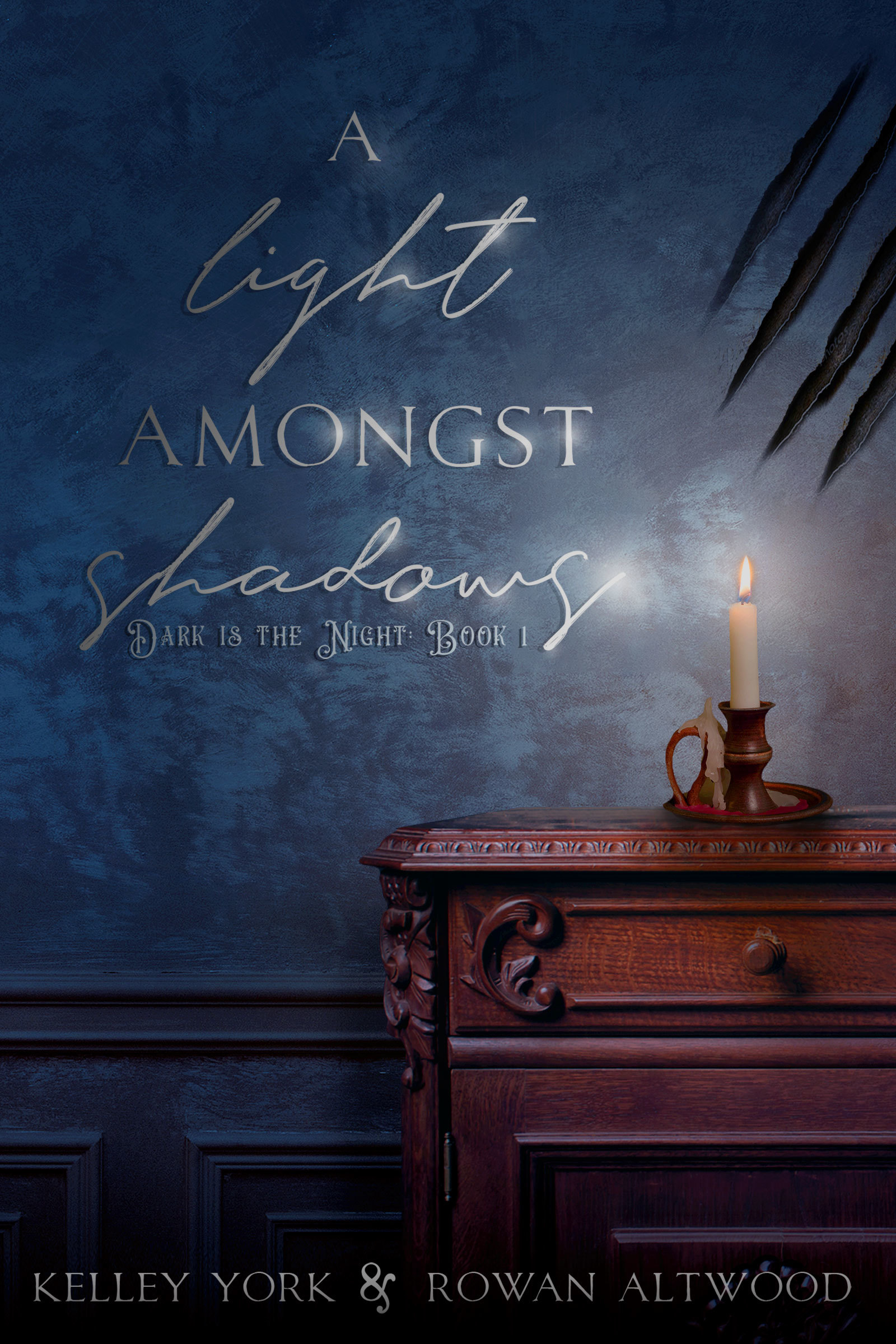 A Light Amongst Shadows (Dark is the Night, Band 1)