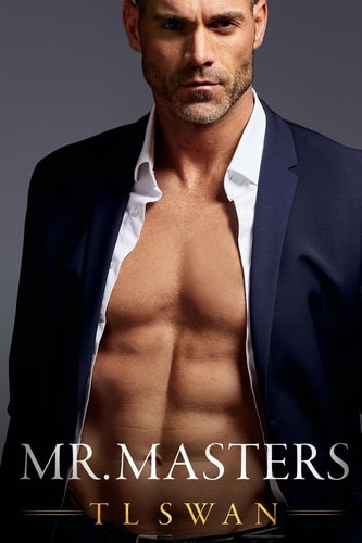 Mr Masters (Mr. Series, Band 1)