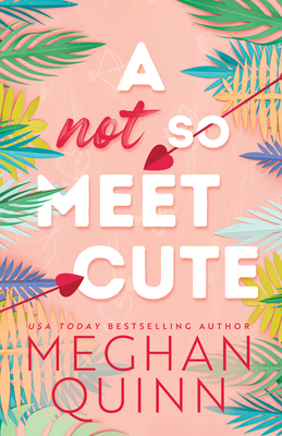 A Not So Meet Cute (Cane Brothers, 1)