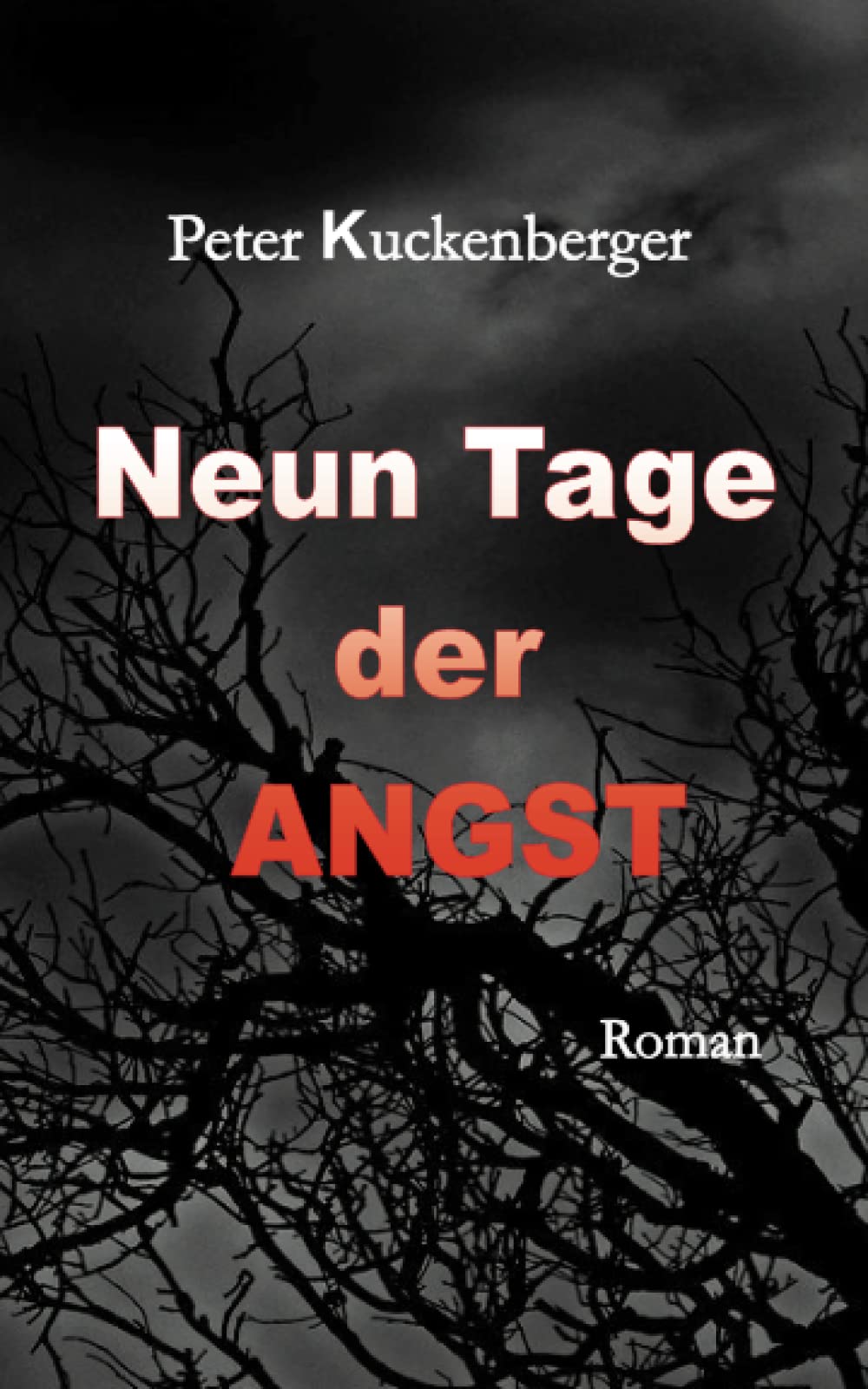 Unbekannter Titel