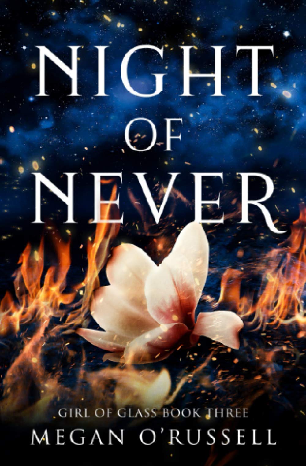 Night of Never