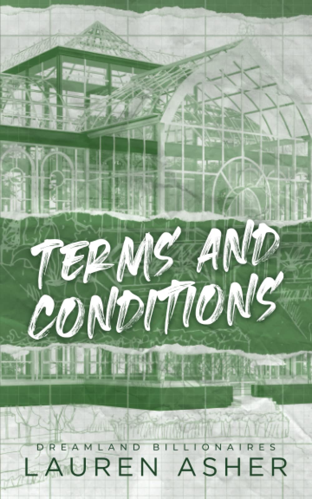 Terms and Conditions: The TikTok sensation! Meet the Dreamland Billionaires...