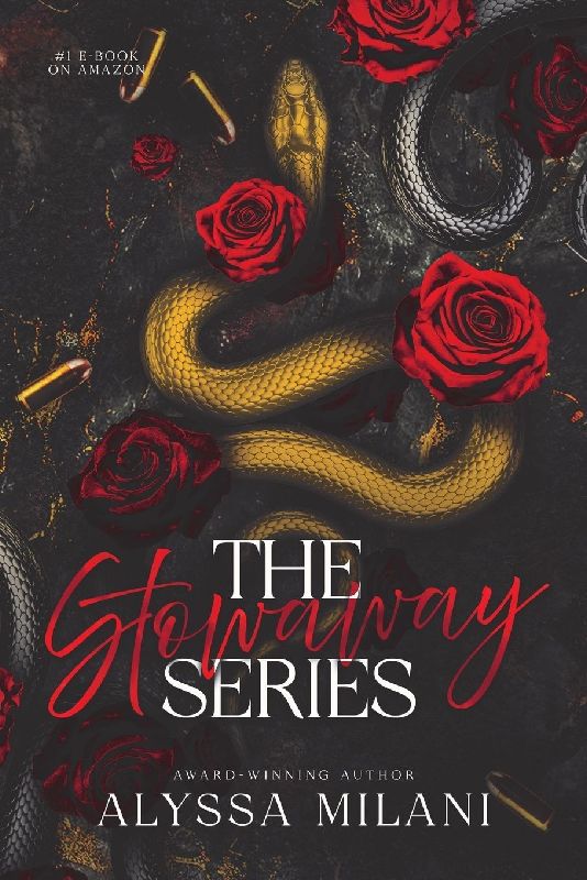 The Stowaway Series (Part 1-4)