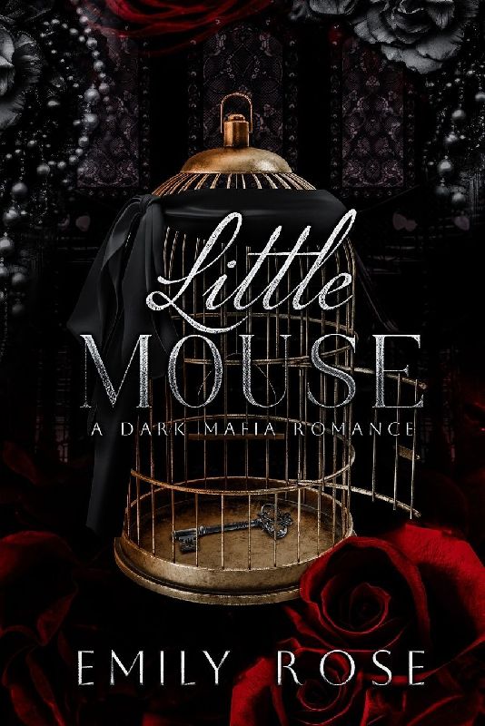 Little Mouse