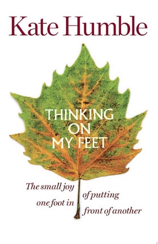 Thinking On My Feet