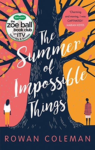 Summer Of Impossible Things