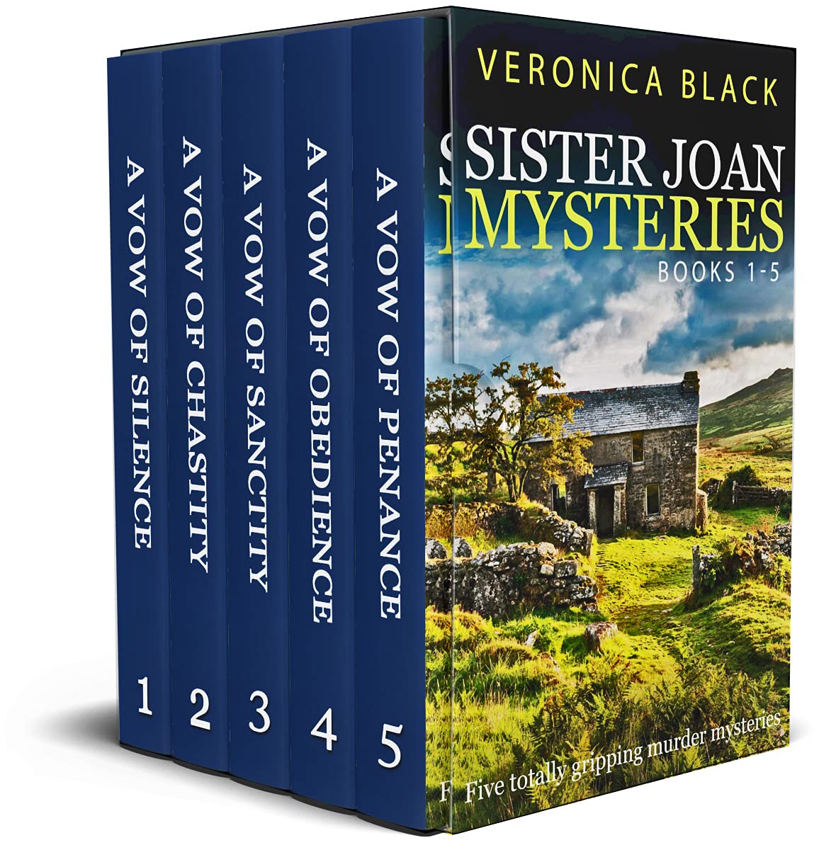 THE SISTER JOAN MYSTERIES BOOKS 1–5 five totally gripping murder mysteries box set (Brilliant crime thriller box sets)