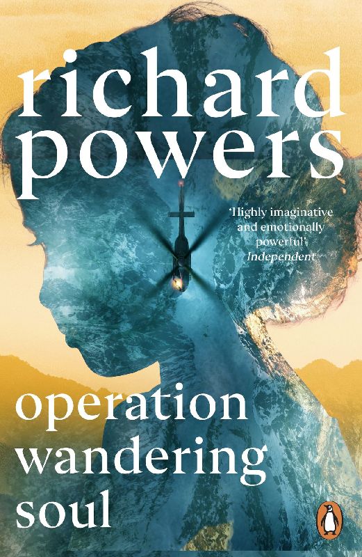 Operation Wandering Soul