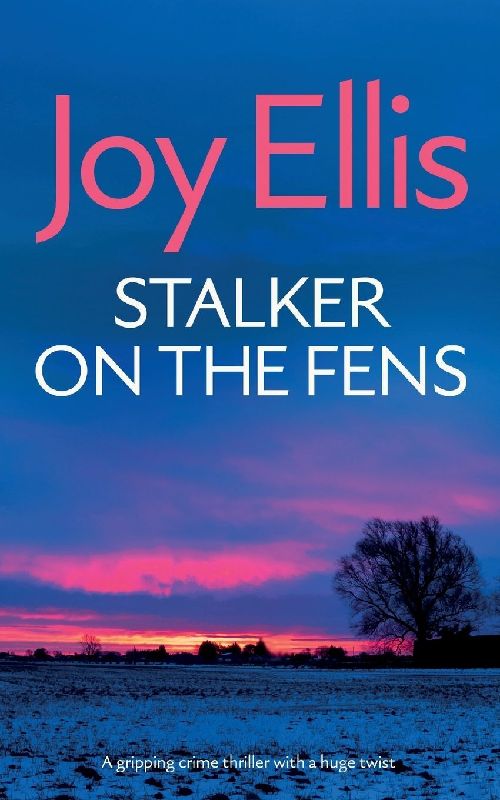 STALKER ON THE FENS a gripping crime thriller with a huge twist