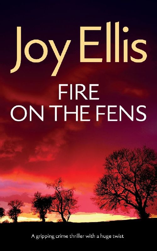 FIRE ON THE FENS a gripping crime thriller with a huge twist